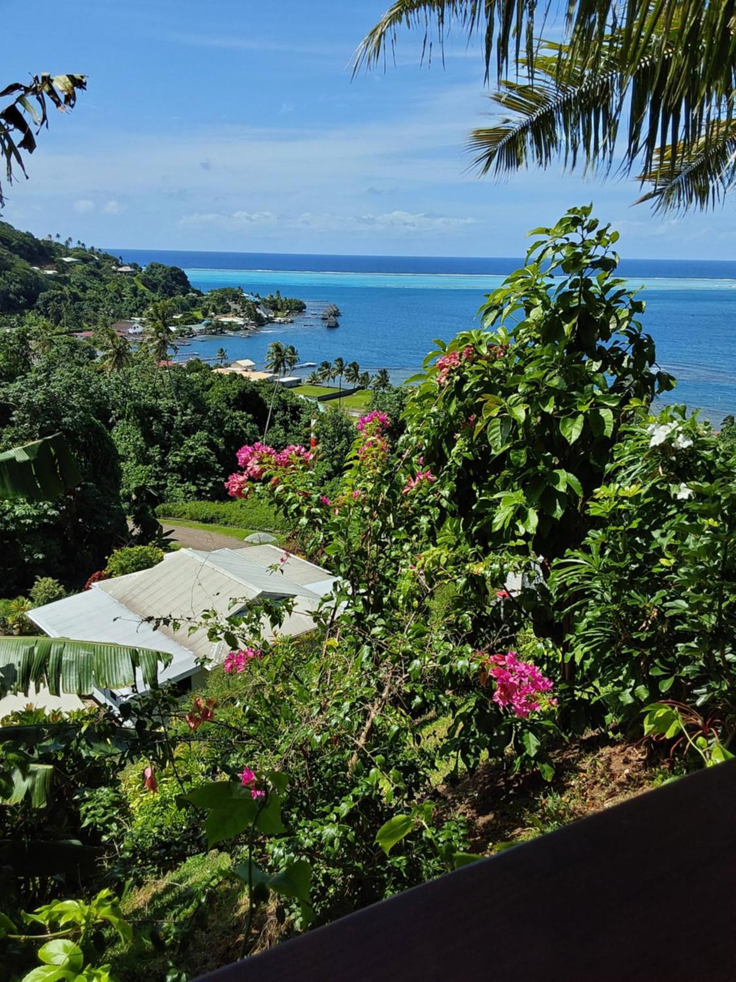 Bed and Breakfast Fare Mahi Mahi Uturoa Exterior foto